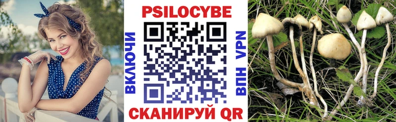 Галлюциногенные грибы Magic Shrooms  Дегтярск 